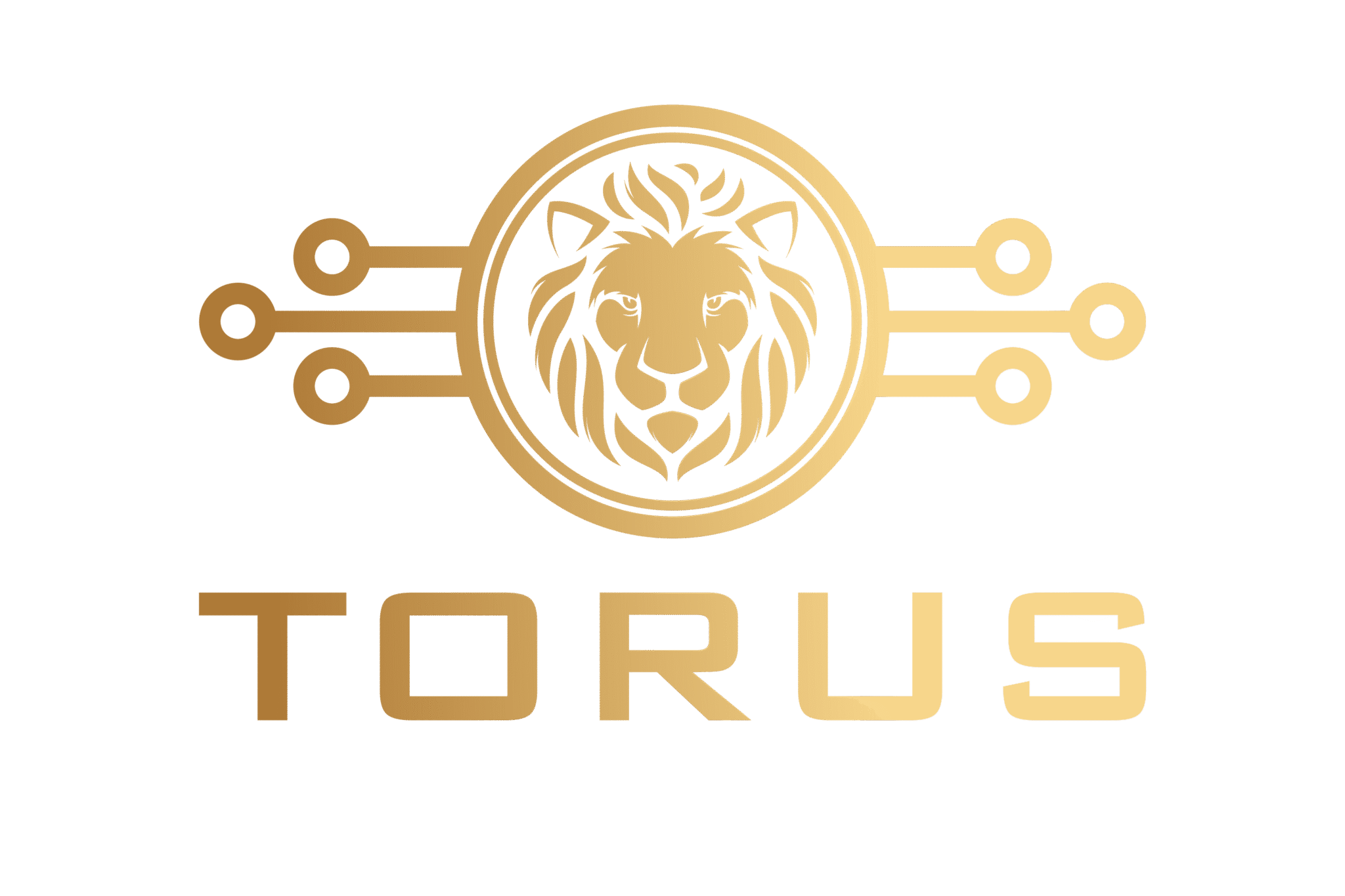 Torus